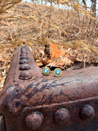 Nickel Montana Stud - 9mm Luger